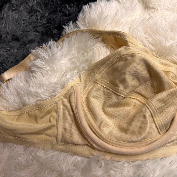 BREEZEES FOLD PUSH UP SIZE 42c - Picture 4 of 7